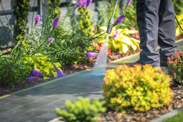 Best Dumpster Area Cleaning  in New Castle Northwest, PA